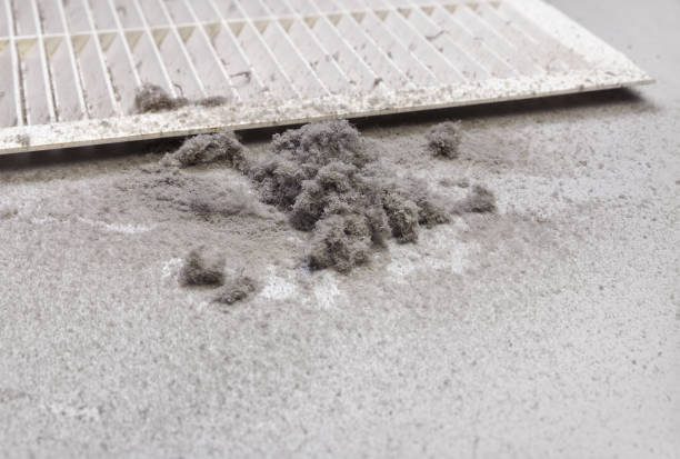 Best Professional Duct Cleaning Services  in Edgewood, IN