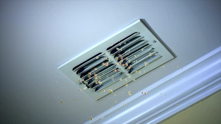 Air Duct Mold Removal in IN
