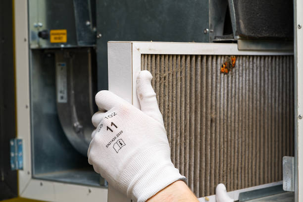 Best Duct Cleaning Specialists  in Edgewood, IN