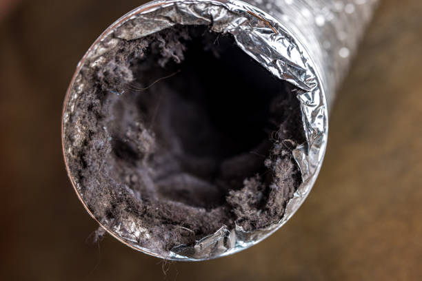 Best Residential Air Duct Cleaning  in Edgewood, IN