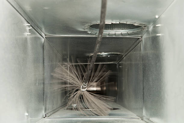 Best Air Duct Mold Removal  in Edgewood, IN