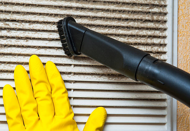 Best Air Duct Mold Removal  in Edgewood, IN